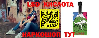 гашик Ярославль