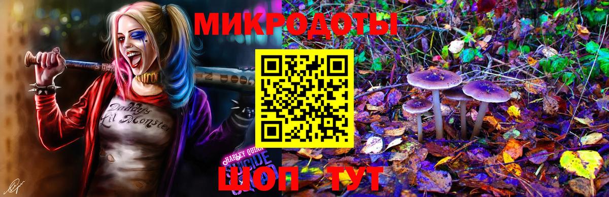 Галлюциногенные грибы MAGIC MUSHROOMS  Вход с VPN  Белогорск  Псилоцибиновые грибы GOLDEN TEACHER 
